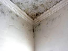 Best Mold Prevention Services  in Marlton, MD