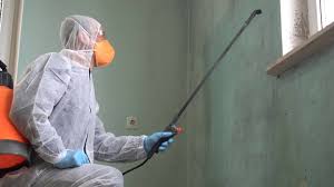 Best Industrial Mold Remediation  in Marlton, MD