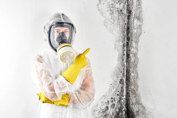 Best Mold Prevention Services  in Marlton, MD