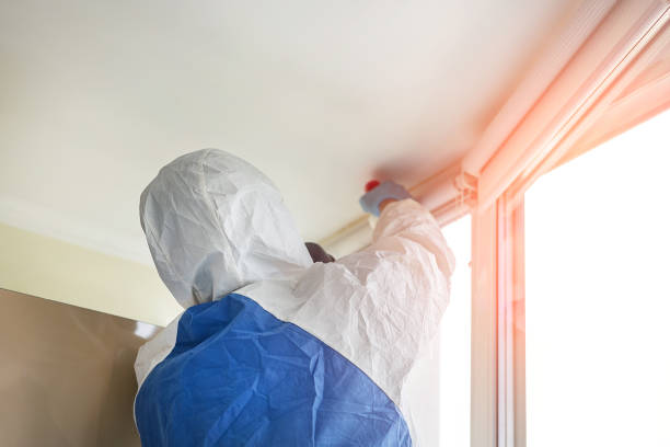 Best Commercial Mold Inspection  in Marlton, MD