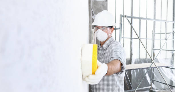 Best Commercial Mold Inspection  in Marlton, MD