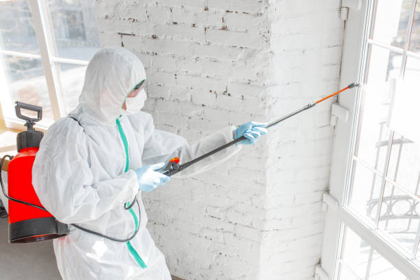 Best Biohazard Mold Removal  in Marlton, MD