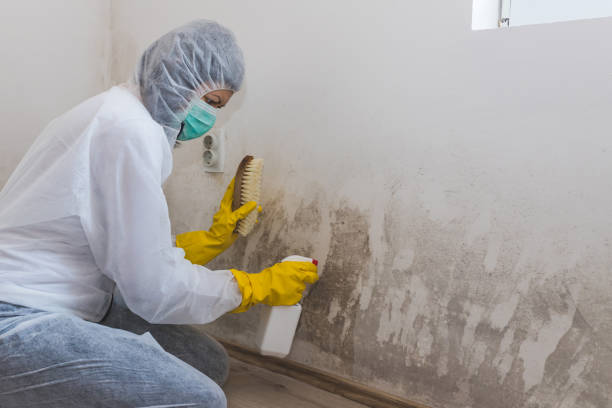 Best Comprehensive Air Testing for Mold Contaminants  in Marlton, MD