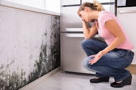 Best HVAC Mold Inspection and Cleaning  in Marlton, MD