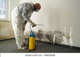 Best Basement Mold Removal  in Marlton, MD